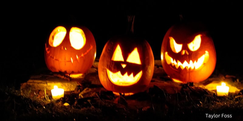 Pumpkins on brown leaves
